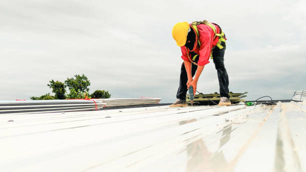 Best Roof Maintenance and Cleaning  in Merritt Park, NY